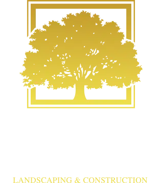 Remarkable Landcapes